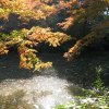 Tokyo_Rikugien_Park_9